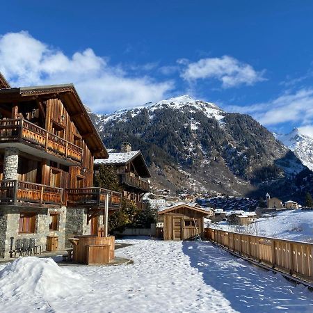 Chalet Des Trappeurs Coeur Vanoise 15 Persons La Plagne Exterior foto