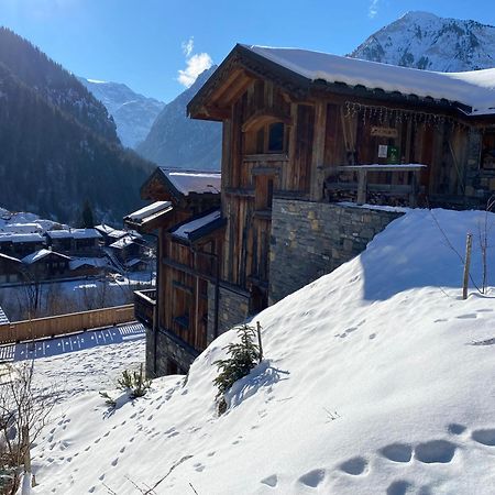 Chalet Des Trappeurs Coeur Vanoise 15 Persons La Plagne Exterior foto