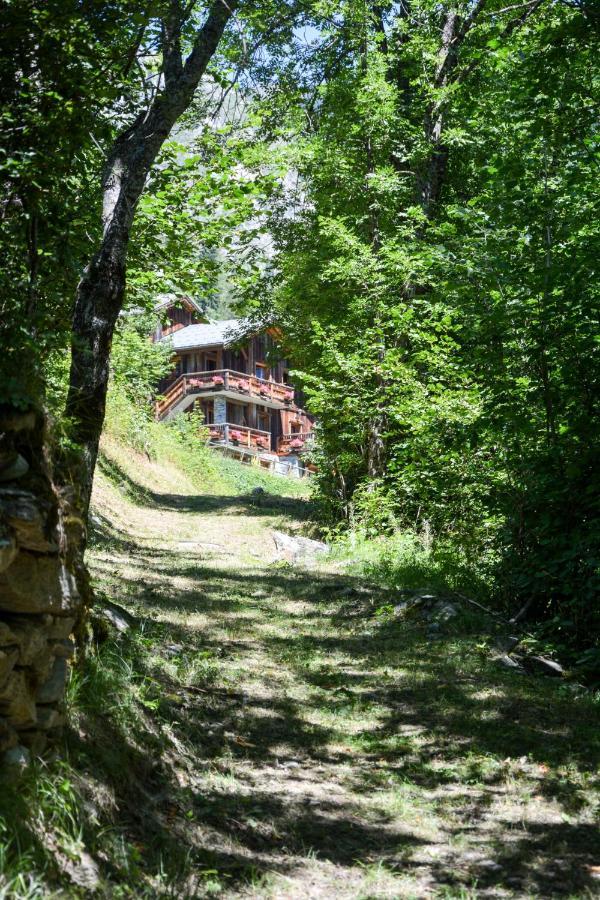 Chalet Des Trappeurs Coeur Vanoise 15 Persons La Plagne Exterior foto